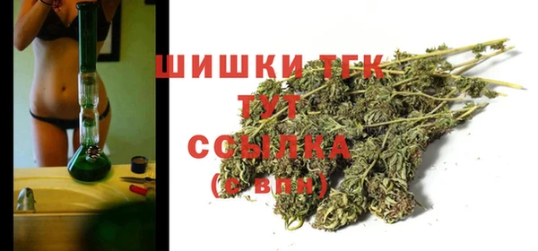 2c-b Бородино
