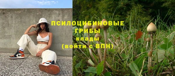 первитин Верея