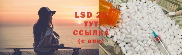 2c-b Бородино