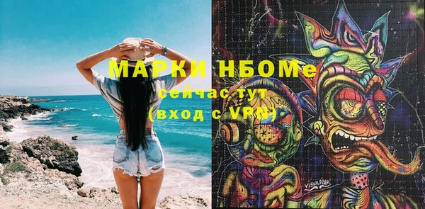 2c-b Бородино