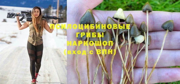mdpv Бугульма